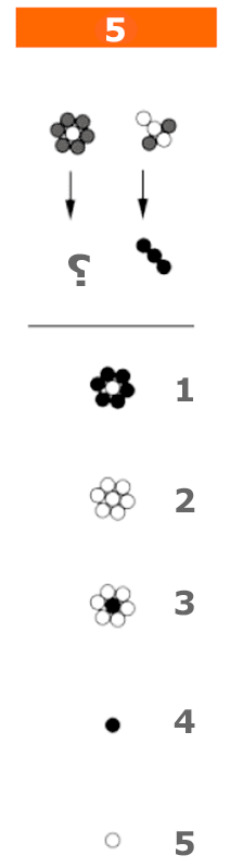 Non Verbal Reasoning Test