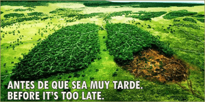 Campañas en Favor del medio Ambiente Campañas en Favor del medio Ambiente