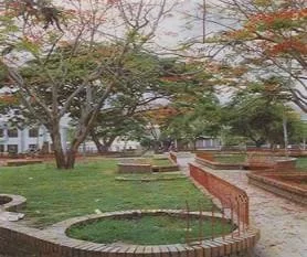 foto-trinidad-casanare